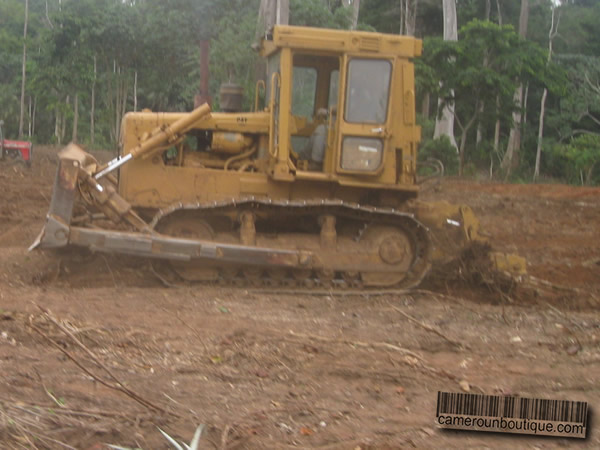 Location Engin Bulldozer Caterpillar à Yaoundé