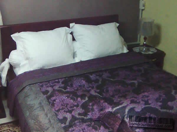 Villa meublée F3 Douala Bonapriso